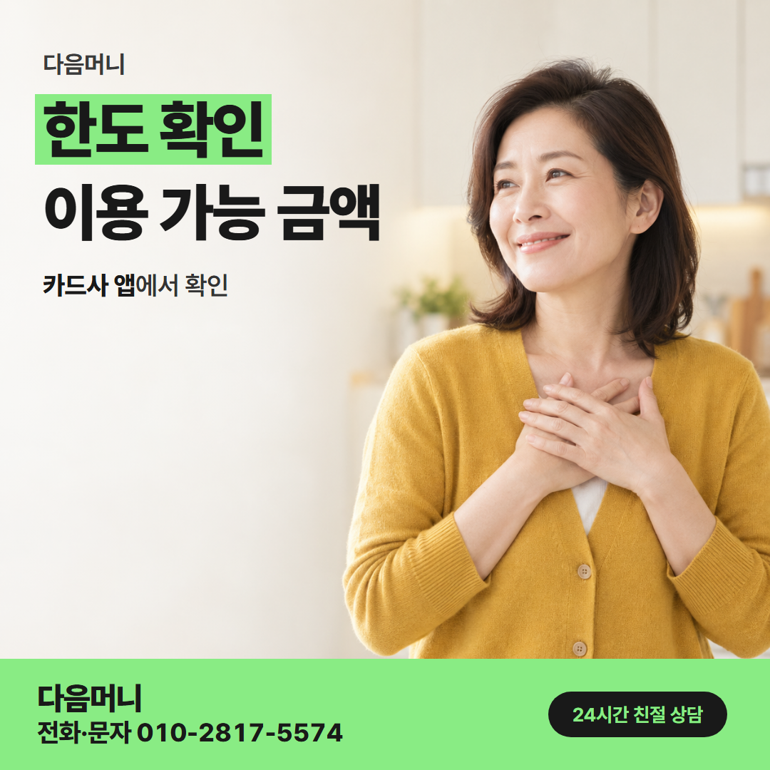 다음머니 여수카드깡 본인 명의 카드의 한도 조회